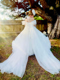Swan Princess - Sazzy design white gown