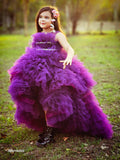 Purple Ruffle highlow gown