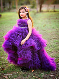 Purple Ruffle highlow gown