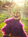 Purple Ruffle highlow gown