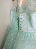 Saige Ladies dress