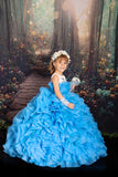 Brooke - blue organza layer gown
