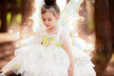 Tinkerbelle inspired Sazzy design theme party dress
