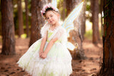 Tinkerbelle inspired Sazzy design theme party dress